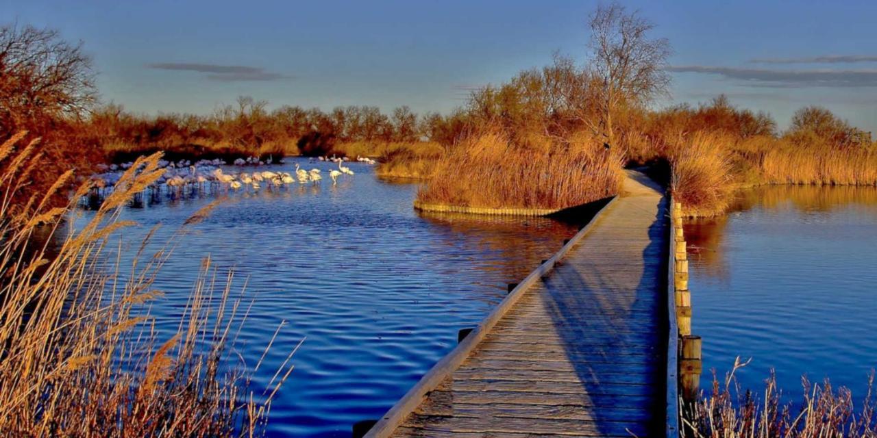 Willa Joli Mazet Provencal De Camargue Arles Zewnętrze zdjęcie